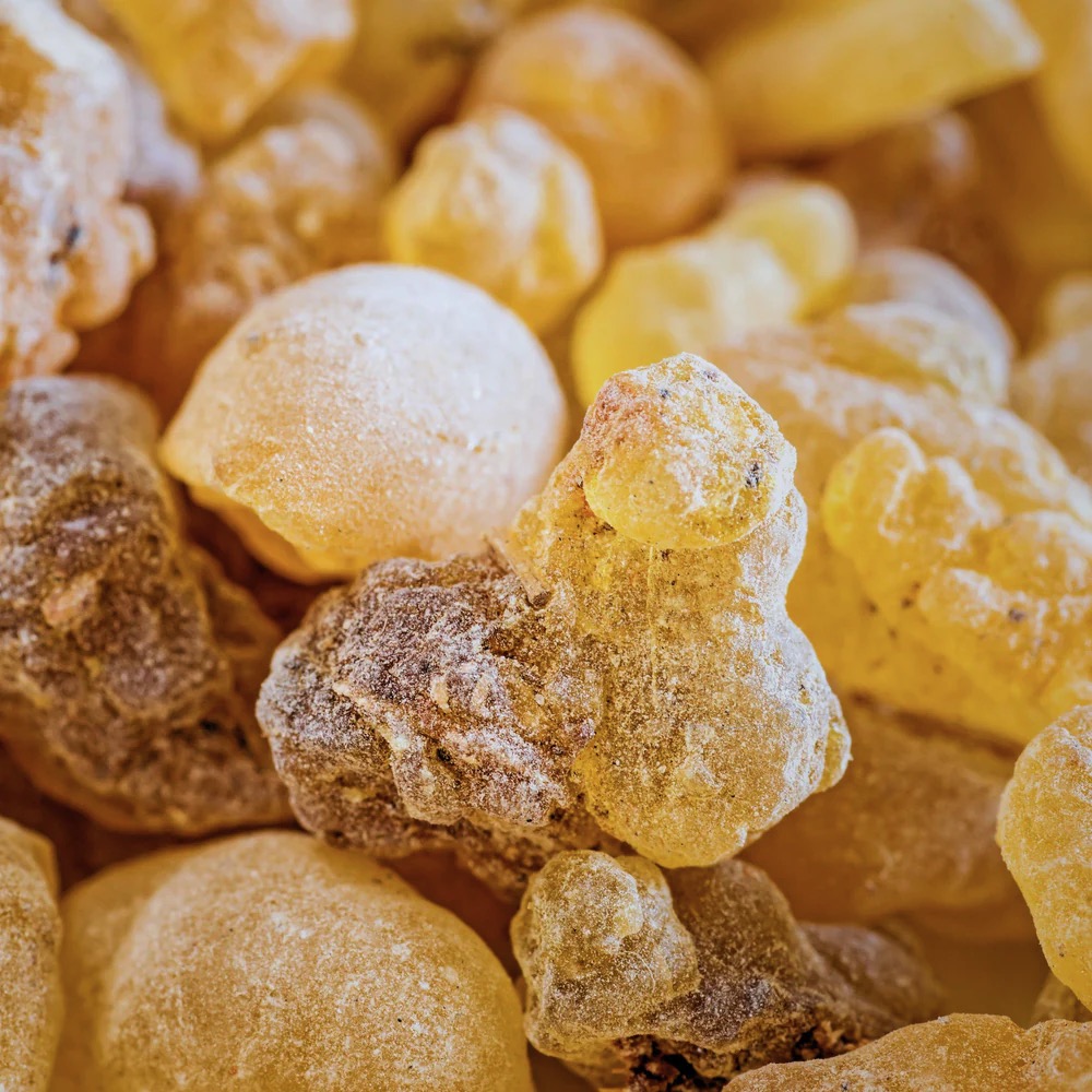 High grade frankincense resin